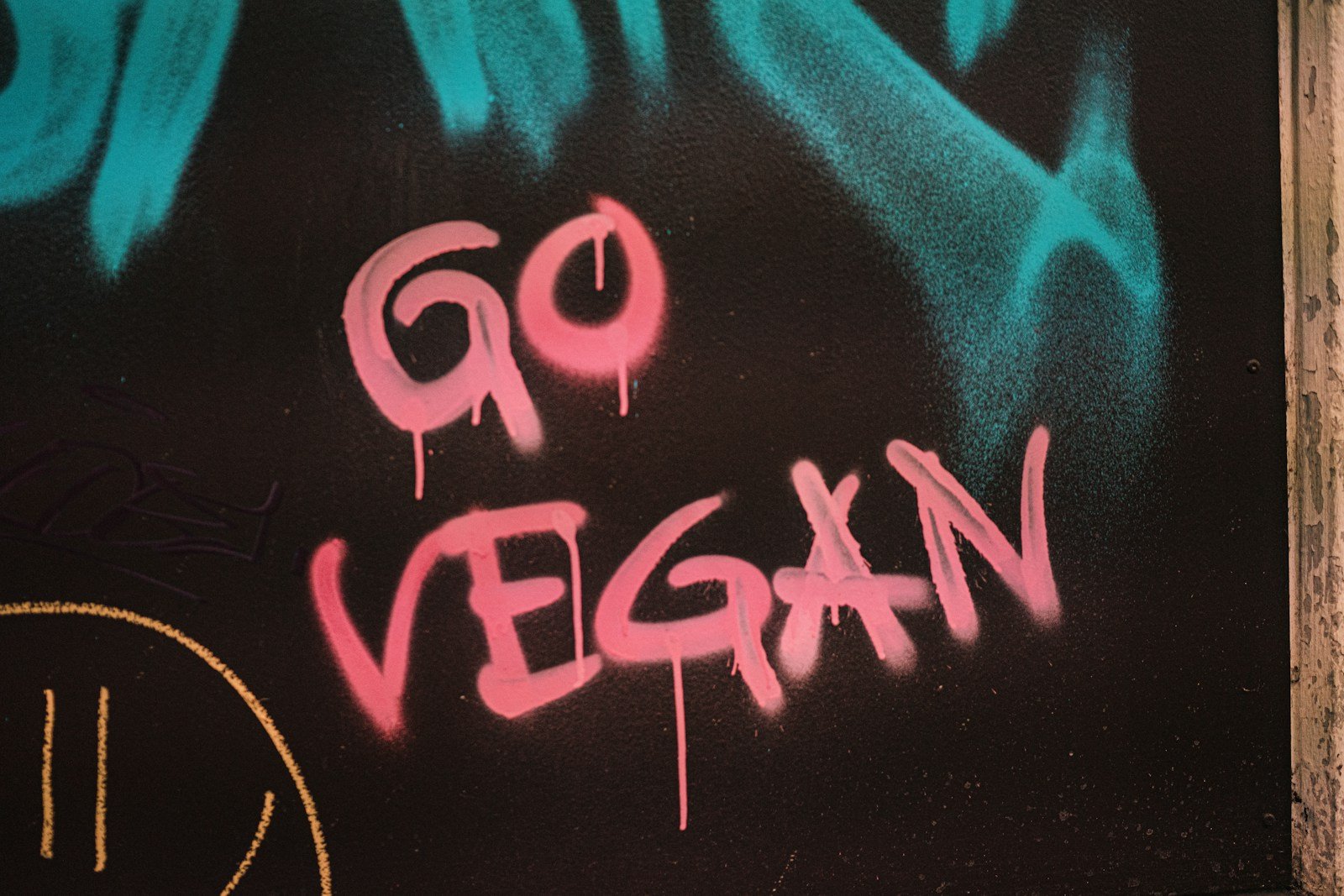 red and white love text with the phrase go vegan on it